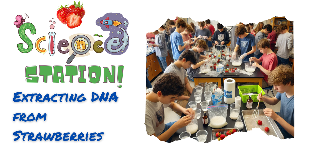 Fun Science Week Post Science Week Post Primary 2025 - Scoilnet