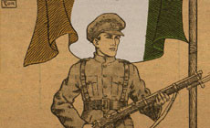 Irish Army soldier guards a tricolour