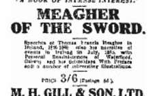 Griffith and Meagher’s influence on Irish nationalists