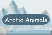 The Arctic