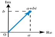 Complex Numbers (copy 1)