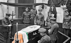 The appearancec of the tricolour before 1916
