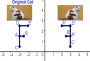 Reflection in Axes