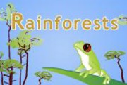 Rainforests