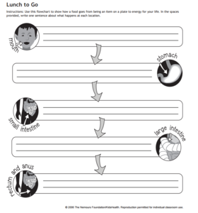 Worksheets Scoilnet